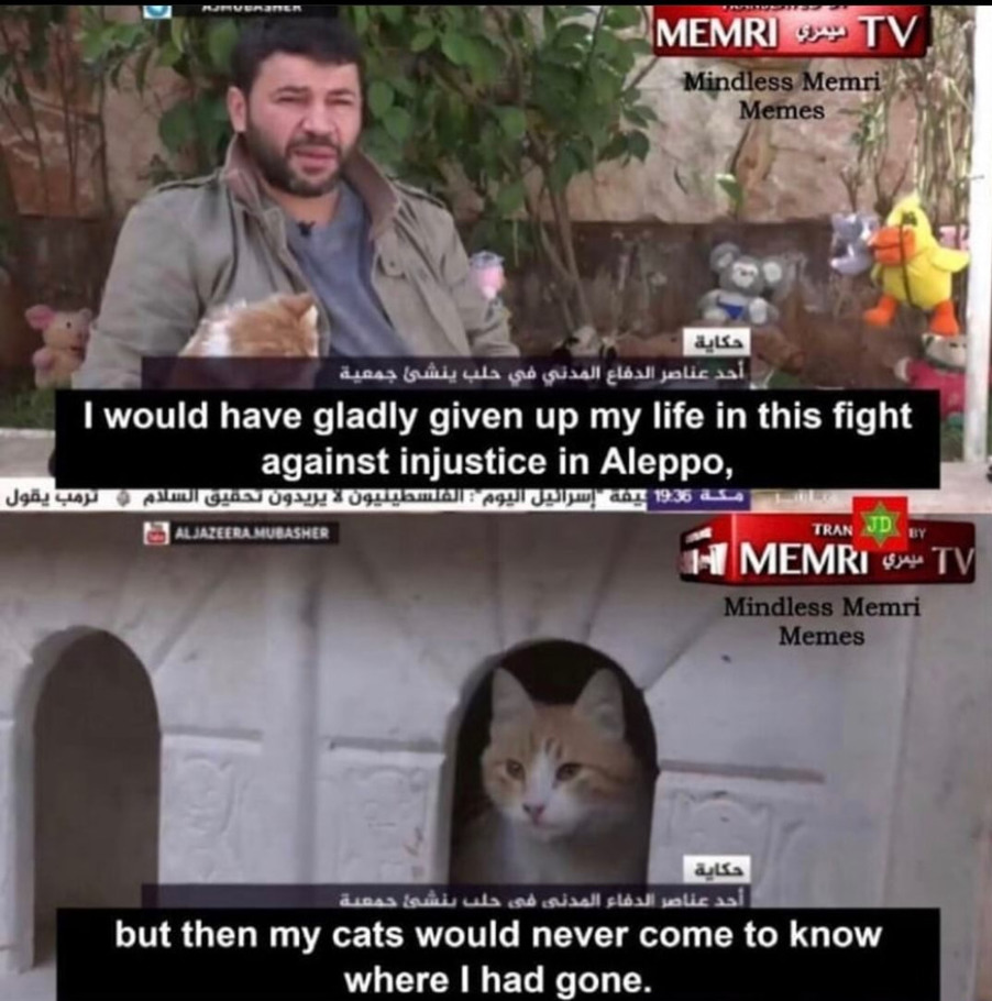 Memri tv albania