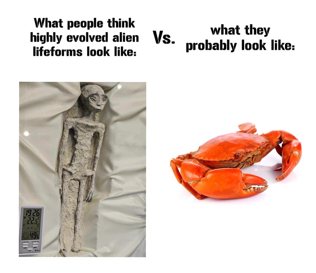what aliens probably look like - meme