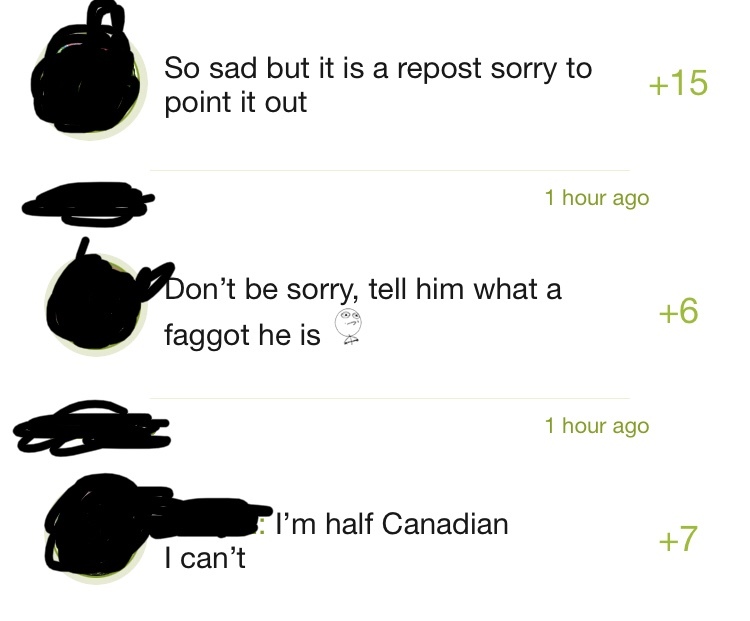ahhhhh Canadians; happy until you say hockey is bad - meme