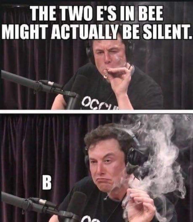 BEEcause I repost Elon Musk memes