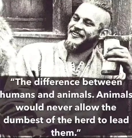 Difference between humans and animals - meme