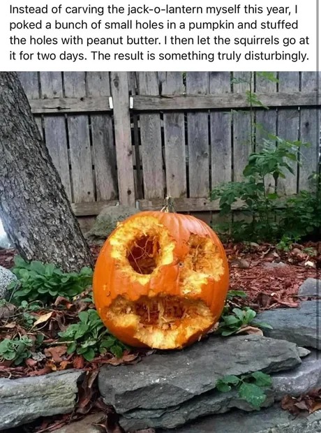 Carving a Jack o Lantern tutorial - meme