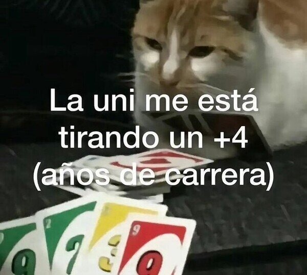 me toca estudiar estas vacaciones - meme