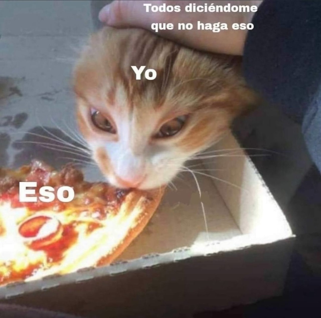 todos me dicen que no lo haga y yo igual lo hago - meme