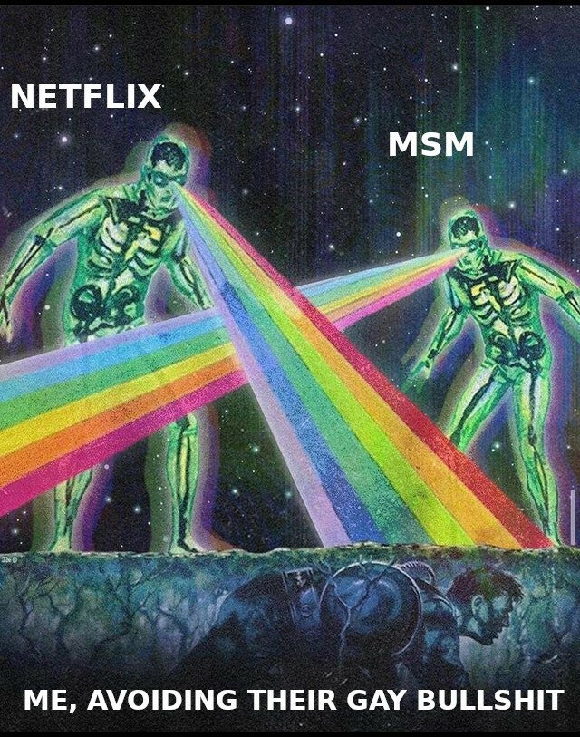 Netflix and Co. - meme