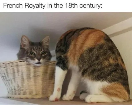 French Royalty - meme