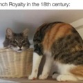 French Royalty