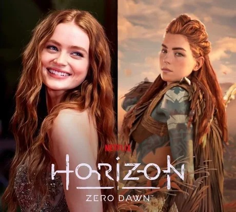 I hope Netflix make a good casting for Horizon - meme