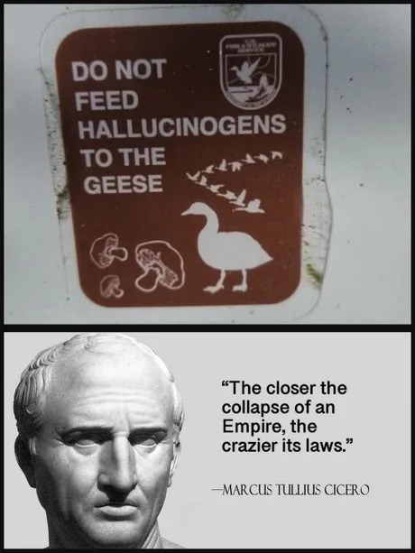 ﻿DO NOT FEED HALLUCINOGENS To THE GEESE “The closer the collapse of an Empire; the crazier its laws: ~MARCUS TUILIUS CICFR O