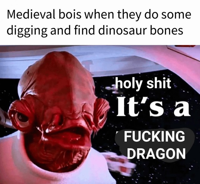 It's a dragon - meme