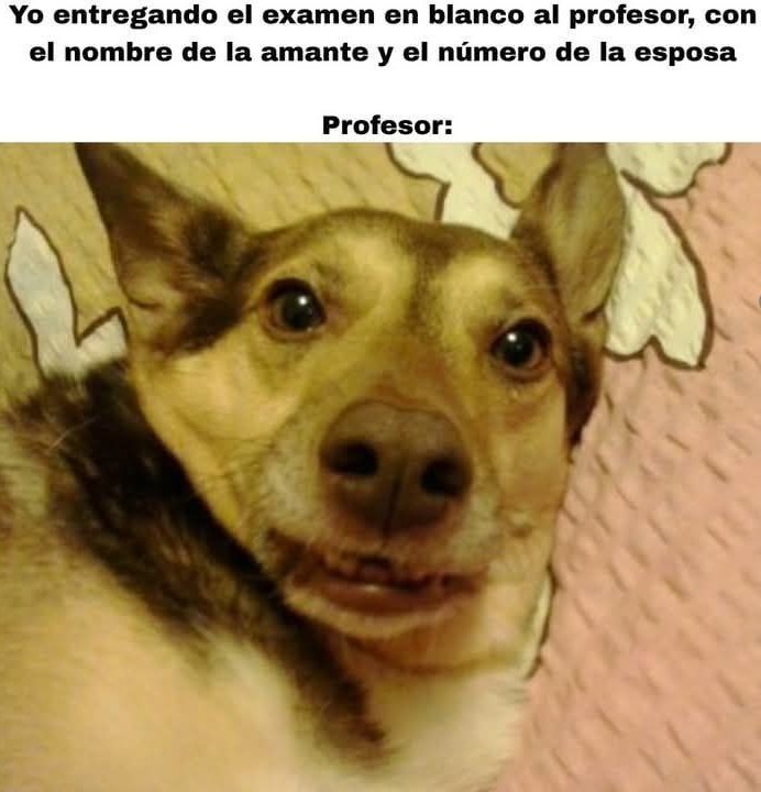 Entrego el examen en blanco pero con el chisme completo pa que el profe se entretenga - meme