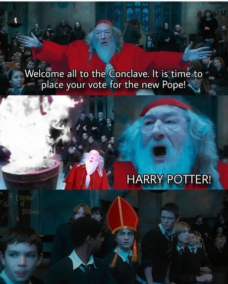 Wizard Conclave 2025: voting for Pope or Dumbledore? - meme