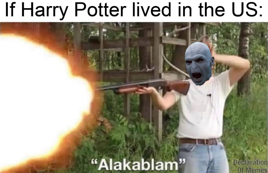 Harry Billybob Potter - meme