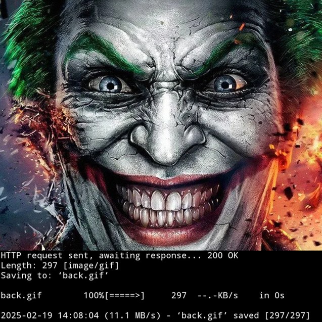 Foto guardada en este dispositivo con wget - meme