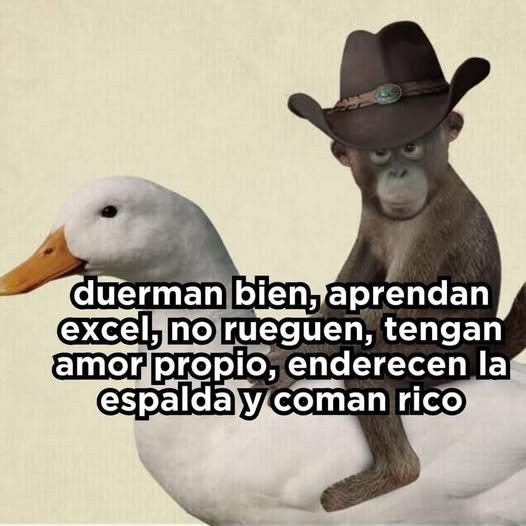 Consejos para el fin de semana y para la vida - meme