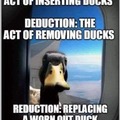 Which Duck are you