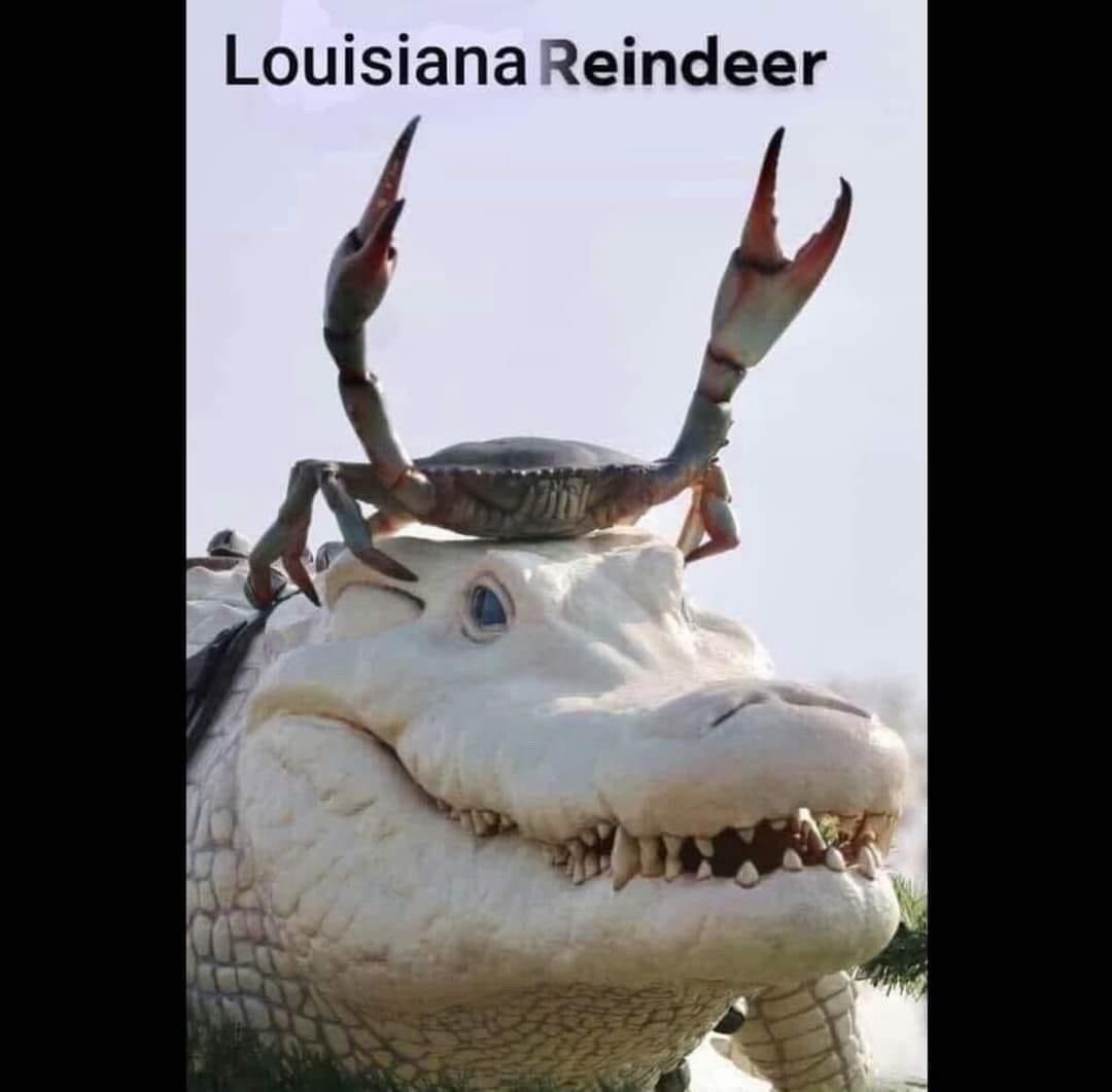 Bayou Rudy - meme