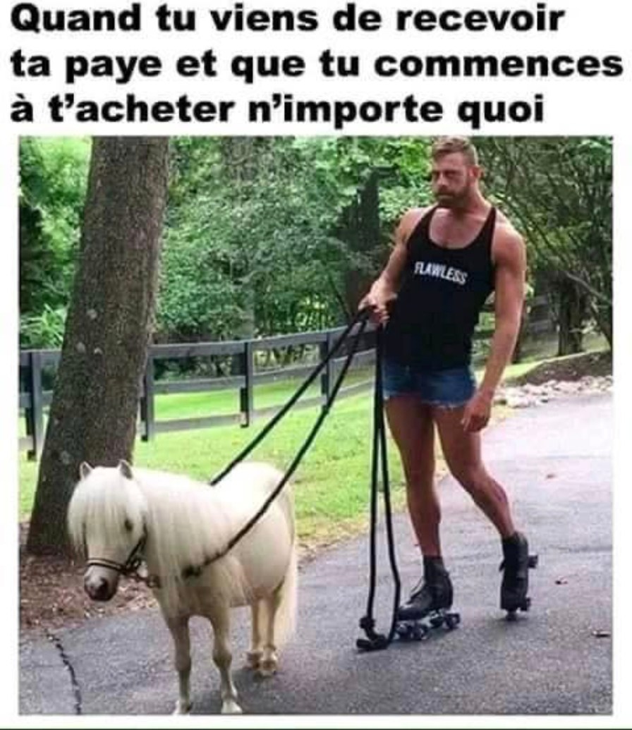 Quand la paye tombe et que tu commences à acheter n'importe quoi - meme