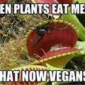 dam vegans