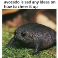sad avocado