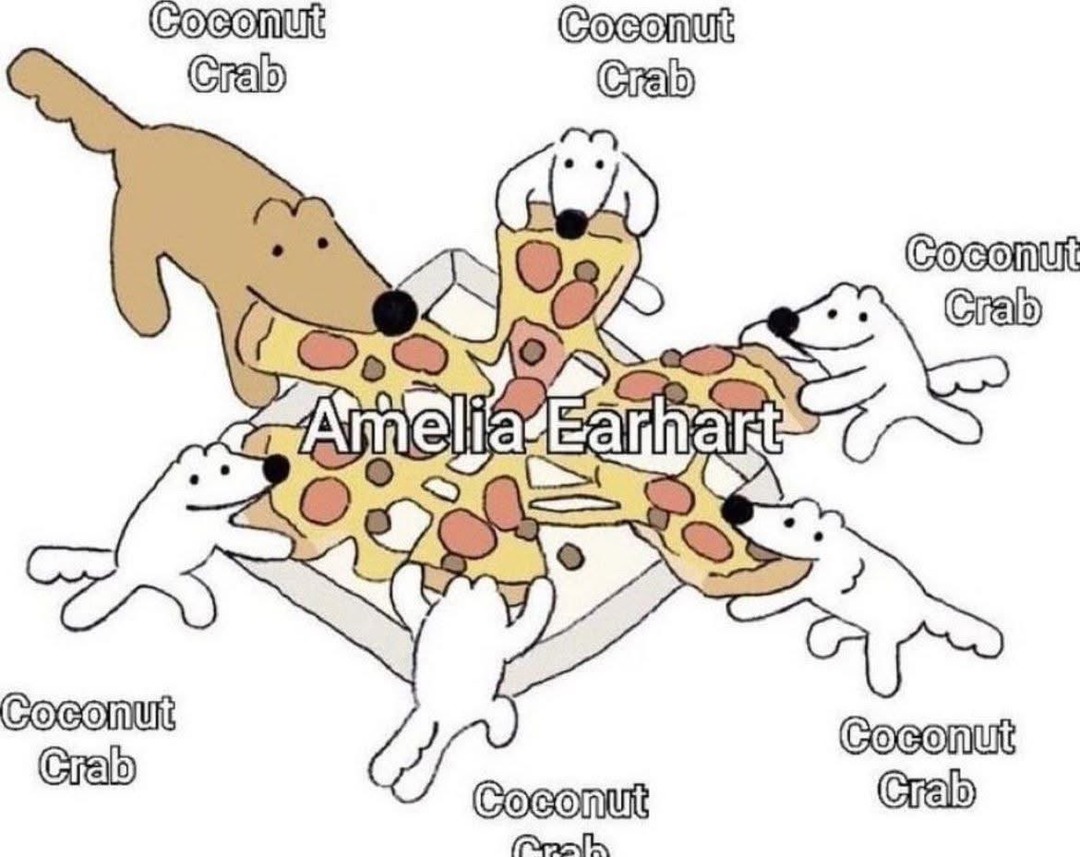 Amelia Earhart meme