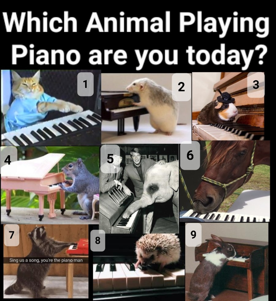 The best Piano memes :) Memedroid