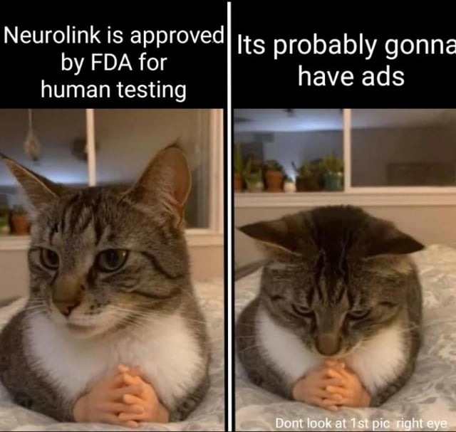 The best Neuralink memes :) Memedroid