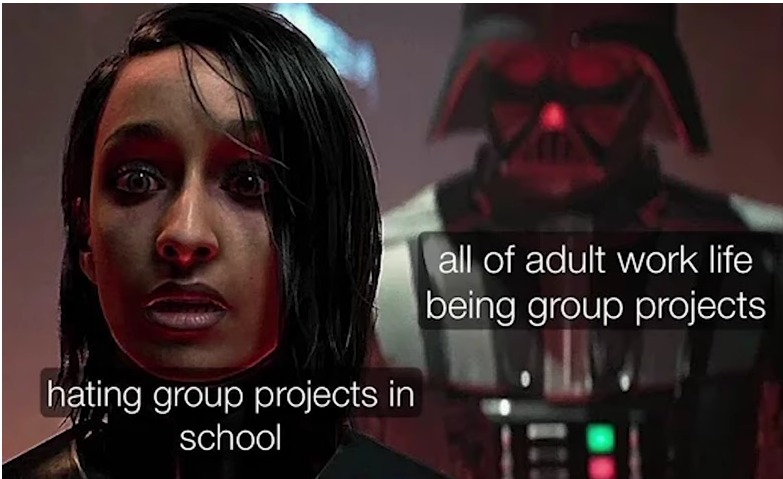 Group projects can be annoying - meme
