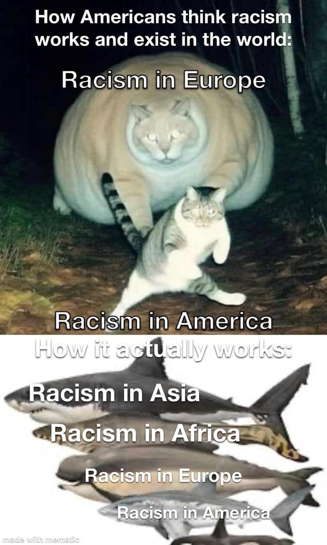 Racism in the world - meme