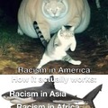 Racism in the world