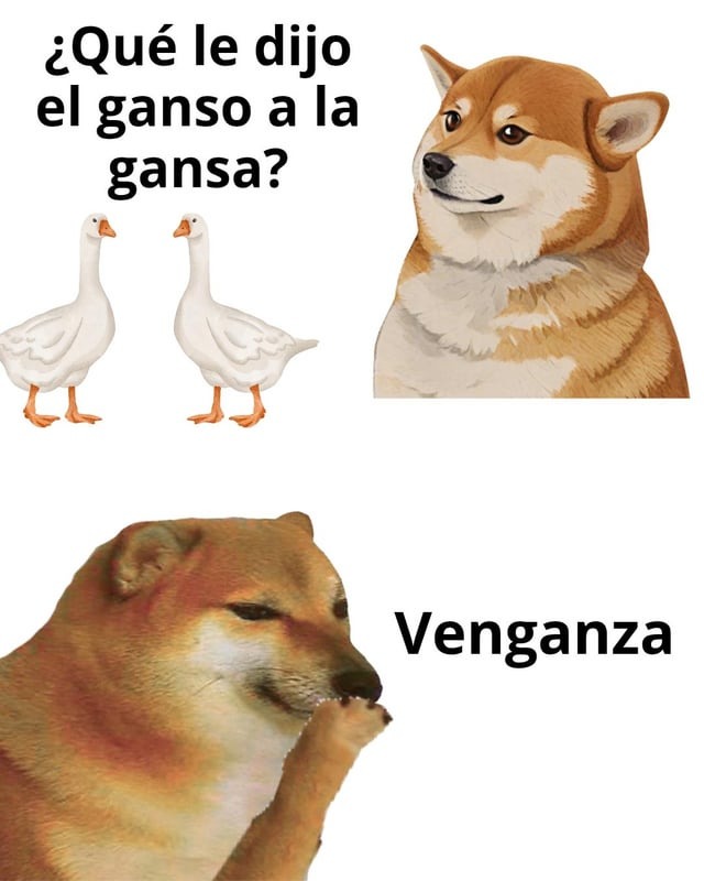 Chiste malo del día - meme