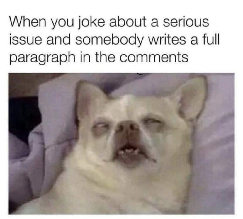 You joke about something serious, and now you've got a 2000-word essay in the comments - meme