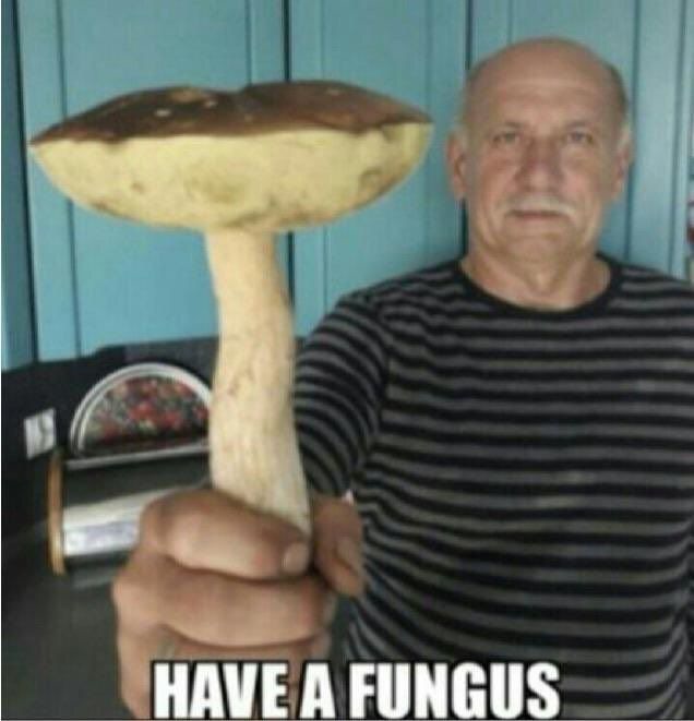 Have a fungus - meme