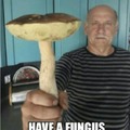 Have a fungus