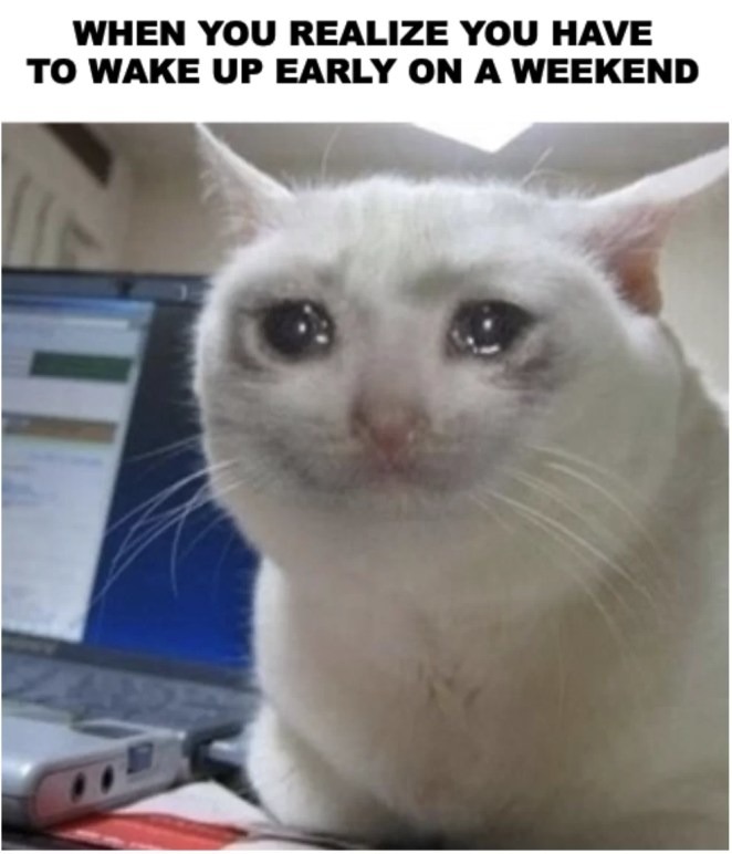 Waking up early on a weekend=crying meme