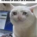 Waking up early on a weekend=crying meme