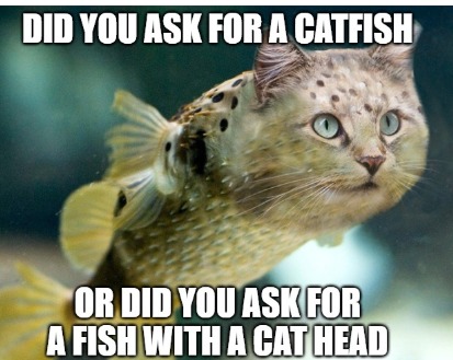 Catfish - meme