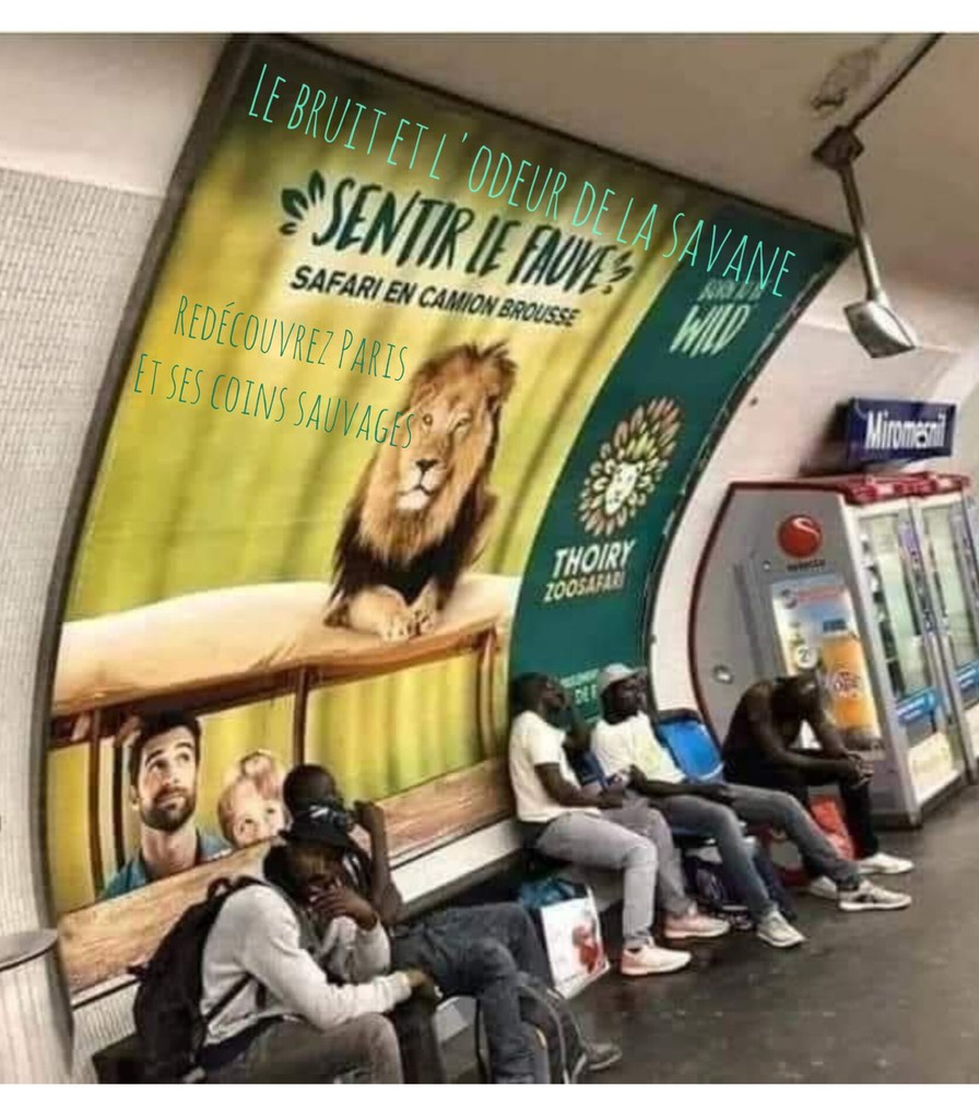 Safari in paris - meme