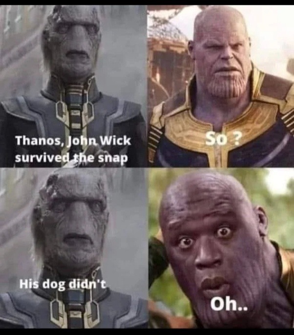 The Best Thanos Memes Memedroid 4443