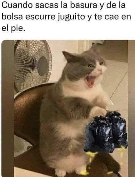 Top memes de Basura en español :) Memedroid