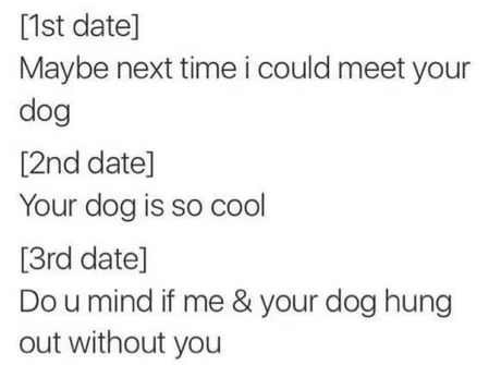 Dating a dog owner - meme