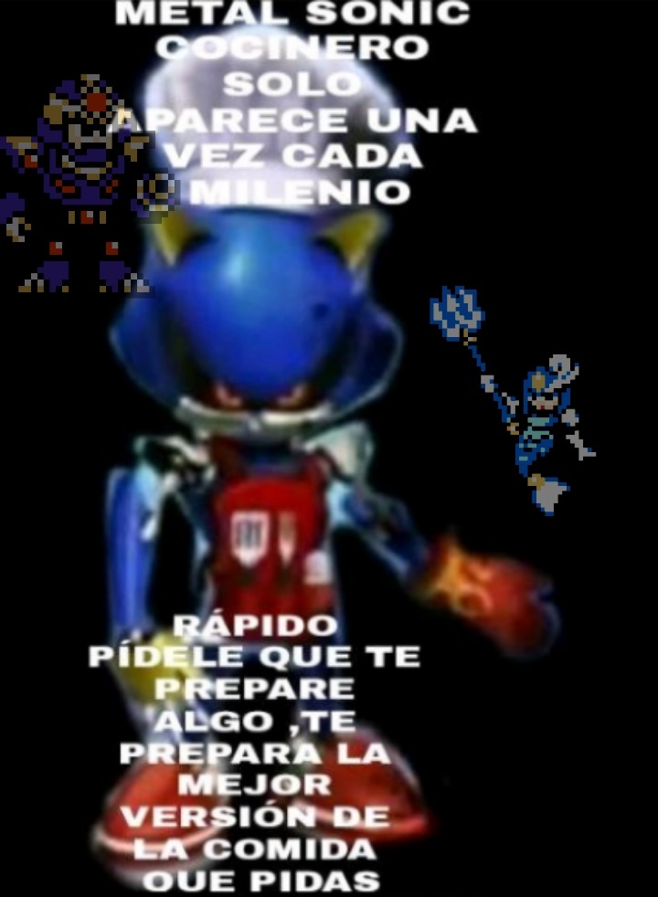 Un plato de ceviche por favor Metal Sonic :really: - meme