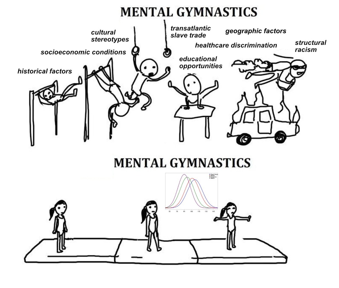 dongs in a gymnast - meme