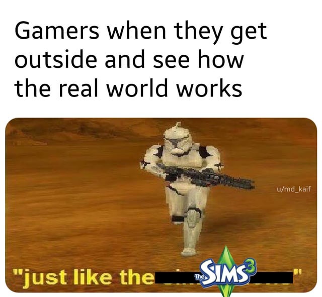 Sims 3 - meme