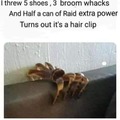 Australian hair clip