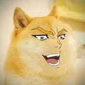 you thought it was doge but it was i DIO