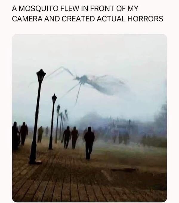 ﻿A MOSQUITO FLEW IN FRONT OF MY CAMERA AND CREATED ACTUAL HORRORS