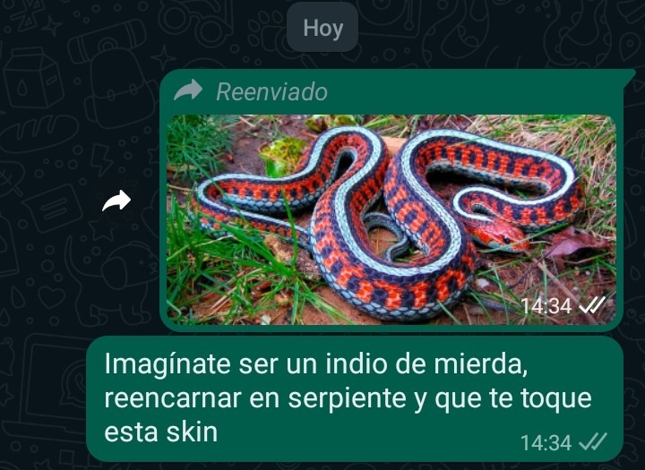 skin de serpiente >>>> skin de indio - meme