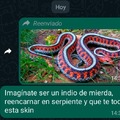 skin de serpiente >>>> skin de indio