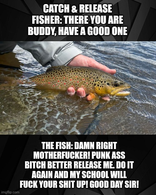 some fish are . . . different - meme
